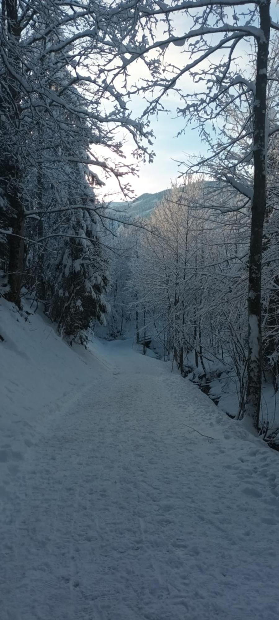 Apartmán Alpinrefugium Haus Am Anger Jungholz Exteriér fotografie