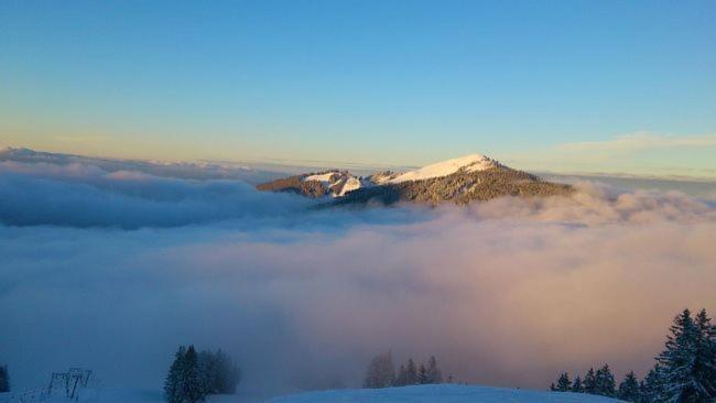 Apartmán Alpinrefugium Haus Am Anger Jungholz Exteriér fotografie